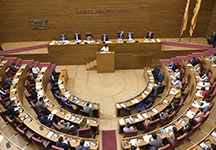 Organización parlamentaria 