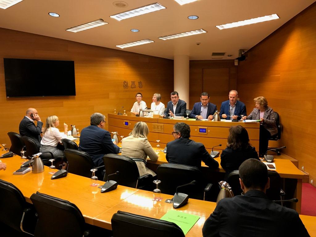 Constitució de les comissions Constitució de les comissions