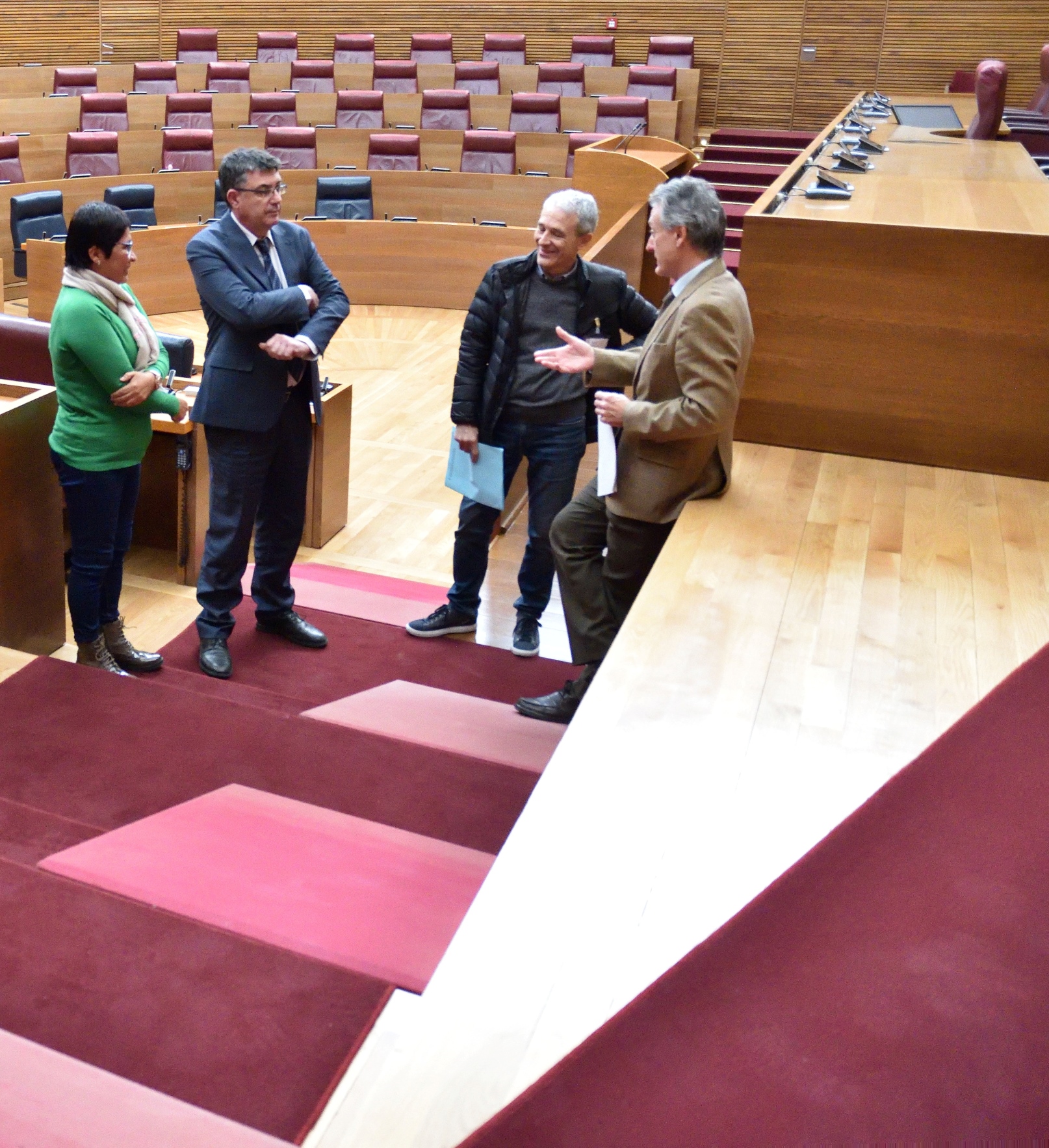 Reunión para la accesibilidad del pleno