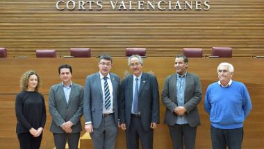 Les Corts, a través de la Comissió de Drets Humans, fomentarà la vigilància dels drets humans i polítics dels sahrauís