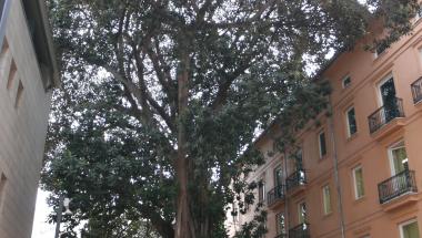 JARDÍN