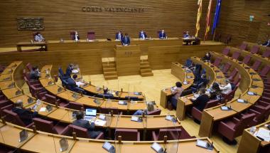 Intervenció del Secretari d'Estat davant la UE a les Corts