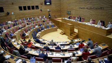 Declaració Institucional reconeixent la labor dels voluntaris després de la DANA